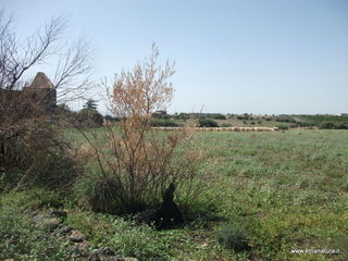 ammena-16-09-2015 12-08-02